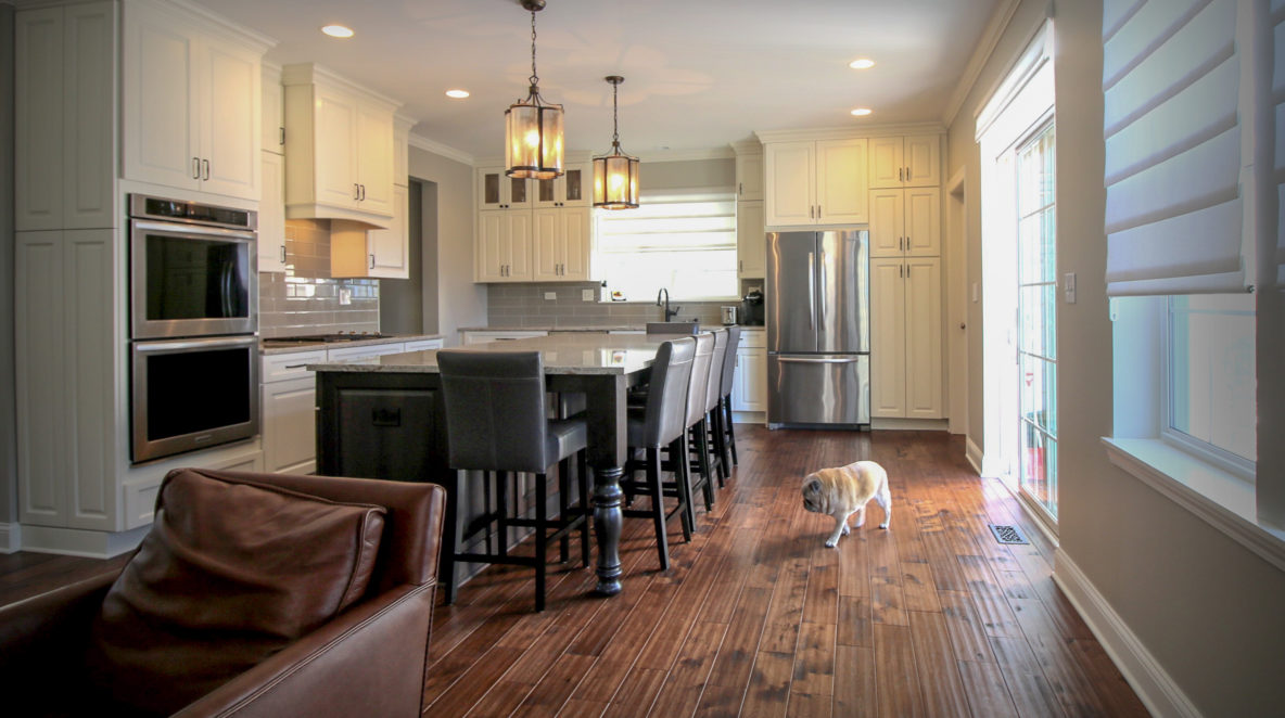 Open-plan Kitchen and Living Space