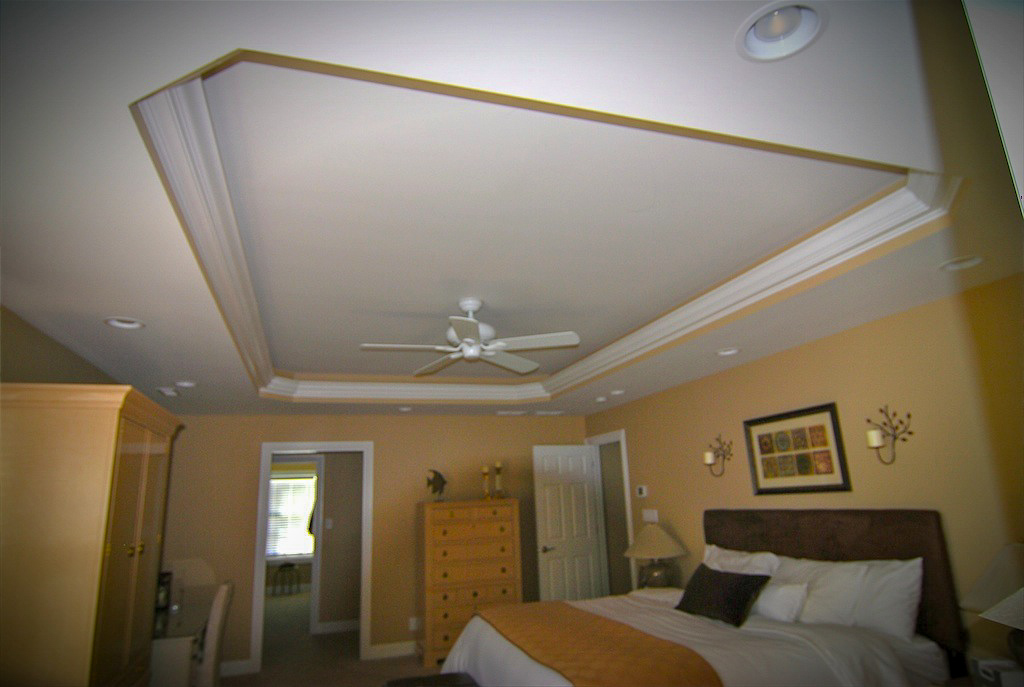 Remodeled Bedroom with Elaborate Tray Ceiling